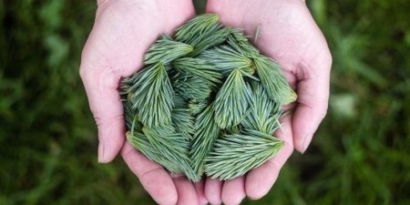 跨境电商的代理报关具体有哪些规范需要遵守？