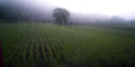 Wish卖家怎样做爆款推广？