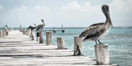 跨境电商卖家出口退税的详细流程是什么？