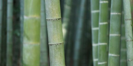 天猫企业店铺里的东西是正品吗？天猫企业店铺押金多少？