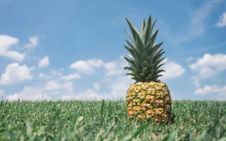 WishPost智选项目西班牙路向怎么发货？物流概览与实操指南