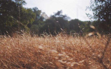 Ozon货品尺寸怎么填写
