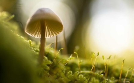 淘宝宝贝上下架规则有哪些？注意事项有哪些？