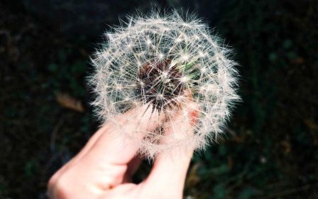 淘宝天天特卖工厂如何退货？退货流程方便吗？