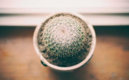 双十一加购啥意思？双十一加购不了购物车怎么回事？