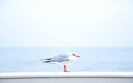 京东送货上门需要额外收费吗？能放驿站吗？