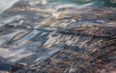 可以提高收入又不损失市场的3个定价策略有哪些