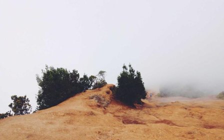 Shopify转让业务所有权的步骤是什么？