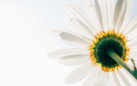 淘宝如何增加销量？提高销量的方法