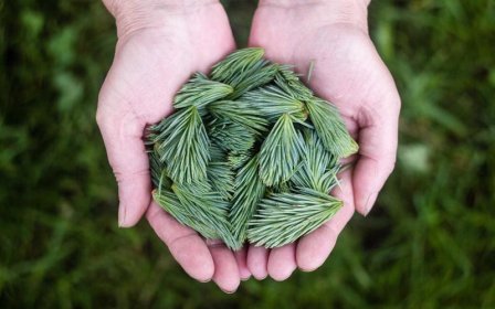 在闲鱼上卖货需要交钱吗？闲鱼卖东西到底要不要交费？