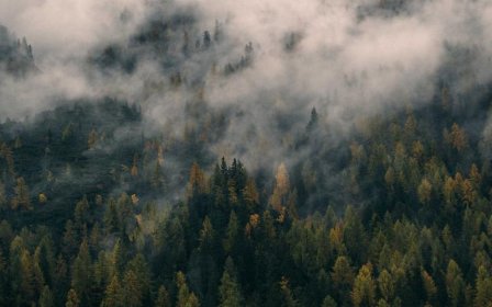 个人支付宝红包如何提现？红包使用规则是什么？