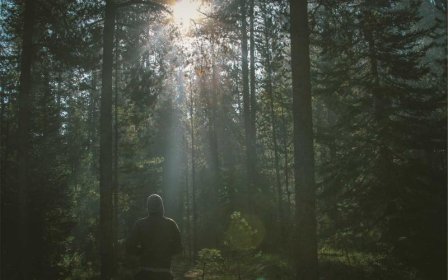 支付宝怎么取消花呗？取消花呗的步骤