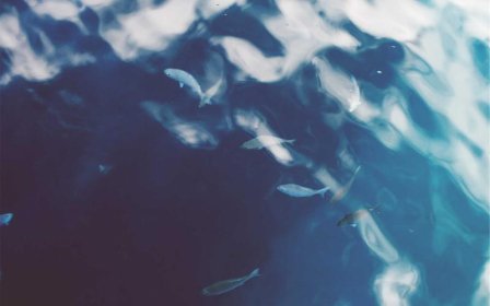 跨境电商托管模式怎么选？全托管与半托管深度对比