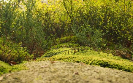 淘宝寄东西邮费多少？邮费怎么算？