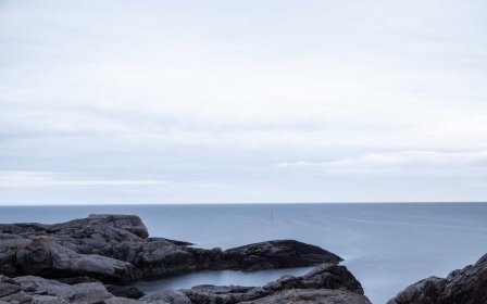 天猫年味家饰大集招商规则是什么？商家报名要注意哪些细节？