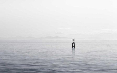 京东介绍晒单怎么删除？京东怎么删除自己的介绍