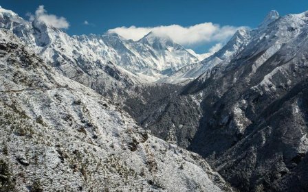 淘宝上零食店怎么开？开零食店需要什么许可证？
