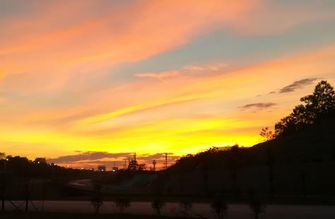 小红书为什么红 小红书爆红背后的秘密