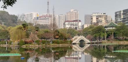 小红书广告投放平台效果怎么样（小红书投放广告的好处）