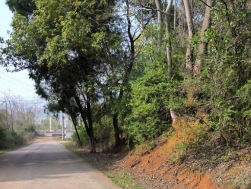 微信视频号广告投放的优点和缺点