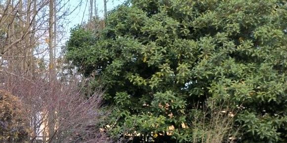 小红书笔记被判违规怎么办(小红书上显示该笔记违规)