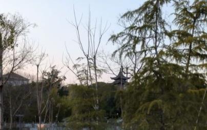 小红书视频制作用什么软件（小红书用的是什么软件制作视频）