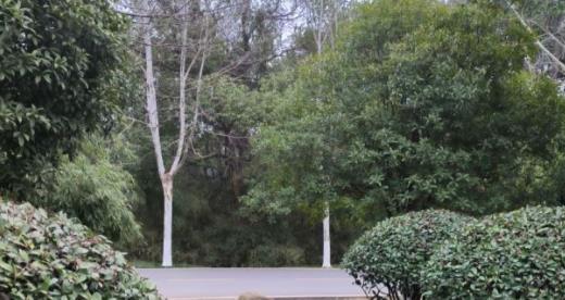 小红书内容中怎么添加位置（小红书怎么在文中添加多个位置）