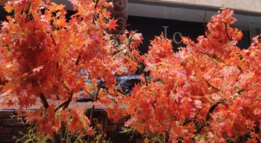 视频号个人认证技巧（如何快速通过视频号个人认证）