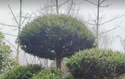 如何做小红书运营 不知道怎么运营小红书的快看过来了