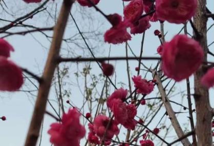 如何给视频号涨粉 微信视频号怎么快速吸粉涨粉