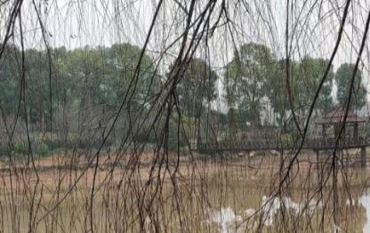 小红书直播推广 不浪费一分钱的推广技巧