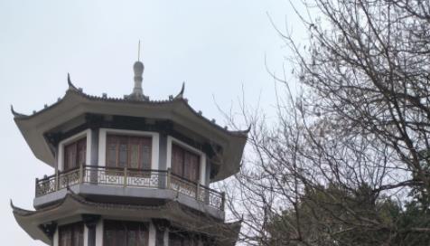 京东放心购“免费上门取退”上线公告