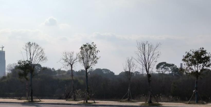 快递申请代理点需要多少钱(乡村快递代收点加盟)