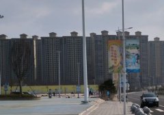 微信视频号广告投放怎么推广（如何在视频号投放广告）