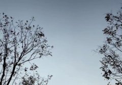 视频号点赞推广方案（微信视频号怎么推广点赞的）