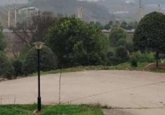 如何在小红书开店（小红书商城怎么开店）