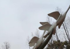 视频号直播间流量权重 微信视频号怎么提高直播间权重