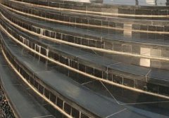 小红书爆文技巧（小白0基础也能写出小红书爆文）