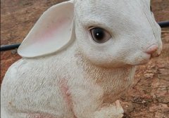 微信视频号流量 微信视频号的流量怎样得到