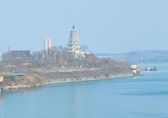 视频号直播热度怎么增加提高（微信视频号直播没有热度怎么回事）