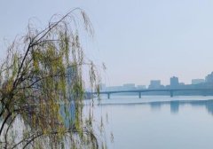 如何利用微信视频号直播卖货（微信视频号可以直播卖货吗）