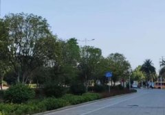 小红书个人运营成本 如何运营个人小红书过万粉