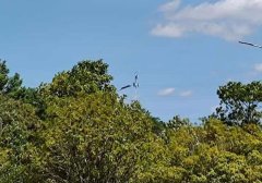 微信视频号收益怎么查看（收益明细的查看方法分享）