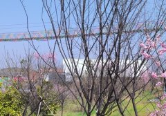 小红书账号权重怎么看 如何才能提高权重