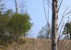 小红书专业号怎么运营（小红书怎么运营）