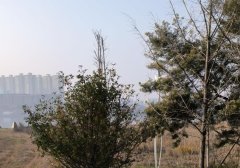 微信视频号直播如何盈利 视频号变现