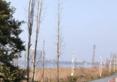 微信视频号直播推流机制 微信视频号直播推荐机制