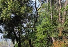 小红书直播要交保证金吗（小红书直播开店保证金）