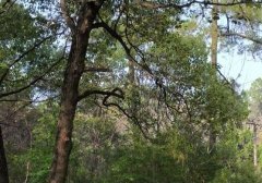 小红书运营必备规则介绍（小红书运营规则内容规则）