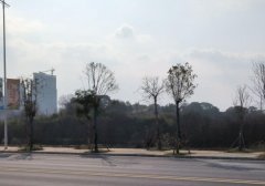 刚注册的小红书需要养号吗 小红书新号如何快速养号